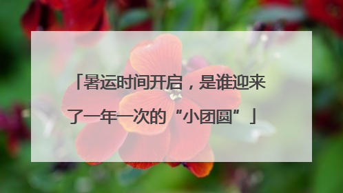 暑运时间开启，是谁迎来了一年一次的“小团圆”