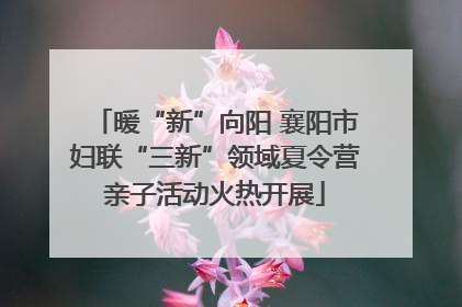 暖“新”向阳 襄阳市妇联“三新”领域夏令营亲子活动火热开展