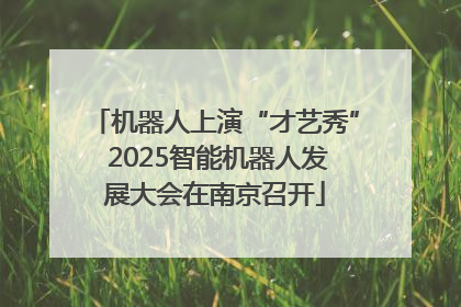 机器人上演“才艺秀” 2025智能机器人发展大会在南京召开