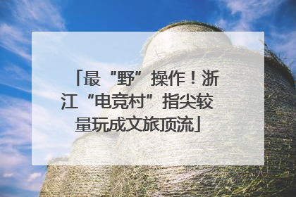 最“野”操作！浙江“电竞村”指尖较量玩成文旅顶流