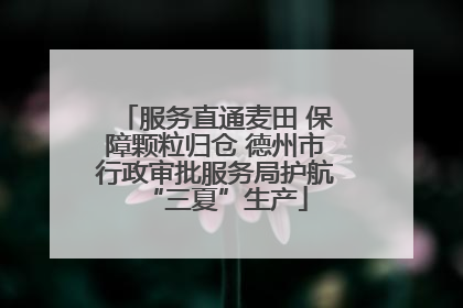服务直通麦田 保障颗粒归仓 德州市行政审批服务局护航“三夏”生产
