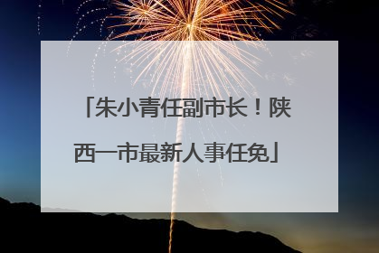 朱小青任副市长！陕西一市最新人事任免