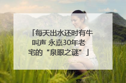 每天出水还时有牛叫声 永嘉30年老宅的“泉眼之谜”