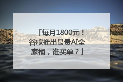 每月1800元！谷歌推出最贵AI全家桶，谁买单？