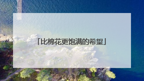比棉花更饱满的希望
