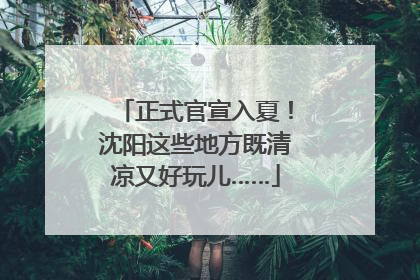 正式官宣入夏！沈阳这些地方既清凉又好玩儿……