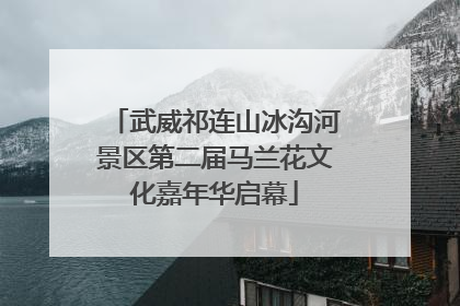 武威祁连山冰沟河景区第二届马兰花文化嘉年华启幕