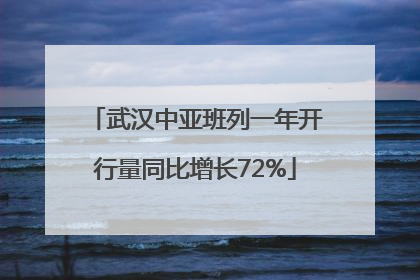 武汉中亚班列一年开行量同比增长72%