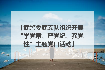 武警娄底支队组织开展“学党章、严党纪、强党性”主题党日活动