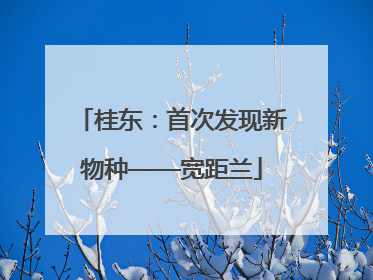 桂东：首次发现新物种——宽距兰