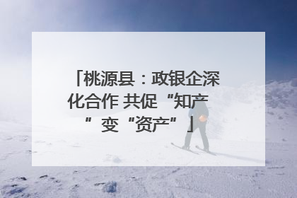桃源县：政银企深化合作 共促“知产”变“资产”