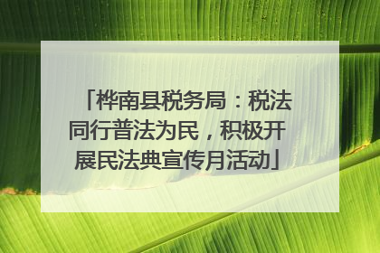 桦南县税务局：税法同行普法为民，积极开展民法典宣传月活动