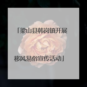 梁山县韩岗镇开展移风易俗宣传活动