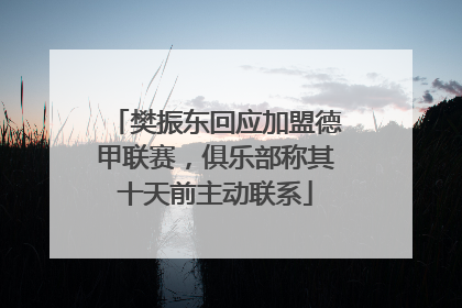 樊振东回应加盟德甲联赛，俱乐部称其十天前主动联系