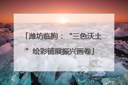 潍坊临朐：“三色沃土”绘彩铺展振兴画卷