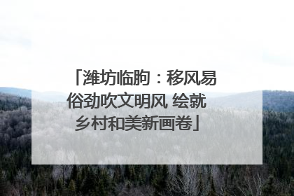 潍坊临朐：移风易俗劲吹文明风 绘就乡村和美新画卷
