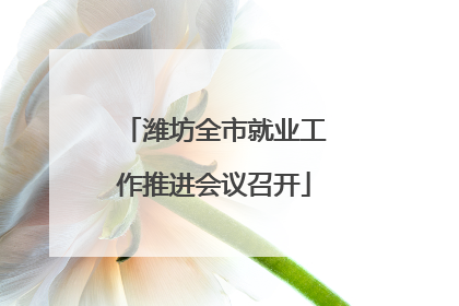 潍坊全市就业工作推进会议召开