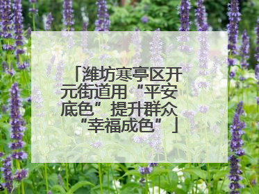 潍坊寒亭区开元街道用“平安底色”提升群众“幸福成色”