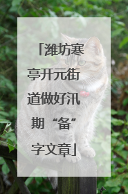 潍坊寒亭开元街道做好汛期“备”字文章