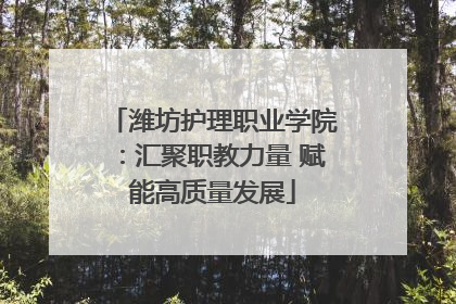 潍坊护理职业学院：汇聚职教力量 赋能高质量发展
