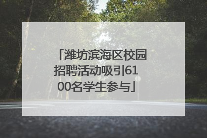 潍坊滨海区校园招聘活动吸引6100名学生参与