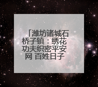 潍坊诸城石桥子镇：绣花功夫织密平安网 百姓日子越过越踏实