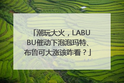 潮玩大火，LABUBU催动下泡泡玛特、布鲁可大涨该咋看？