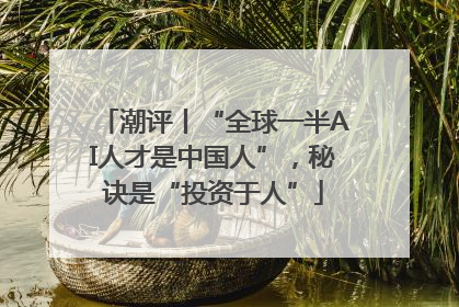 潮评丨“全球一半AI人才是中国人”，秘诀是“投资于人”