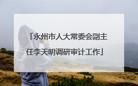 永州市人大常委会副主任李天明调研审计工作