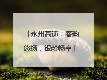 永州高速：春韵悠扬，银龄畅享