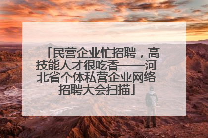 民营企业忙招聘，高技能人才很吃香——河北省个体私营企业网络招聘大会扫描