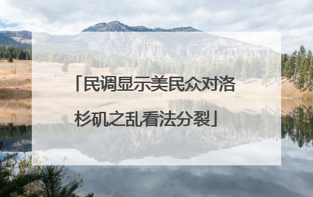 民调显示美民众对洛杉矶之乱看法分裂