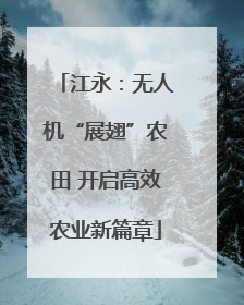 江永：无人机“展翅”农田 开启高效农业新篇章