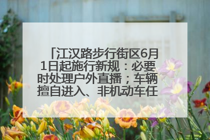江汉路步行街区6月1日起施行新规：必要时处理户外直播；车辆擅自进入、非机动车任意停放的，依法处理