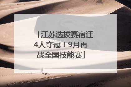 江苏选拔赛宿迁4人夺冠！9月再战全国技能赛