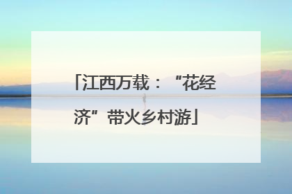 江西万载：“花经济”带火乡村游