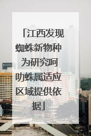 江西发现蜘蛛新物种 为研究呵叻蛛属适应区域提供依据