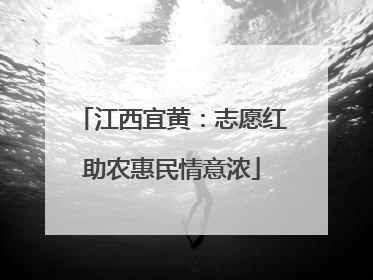 江西宜黄：志愿红助农惠民情意浓