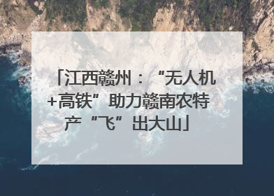 江西赣州：“无人机+高铁”助力赣南农特产“飞”出大山