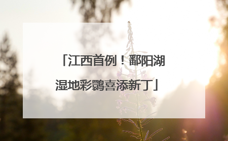 江西首例！鄱阳湖湿地彩鹮喜添新丁
