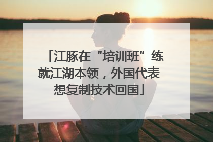 江豚在“培训班”练就江湖本领，外国代表想复制技术回国