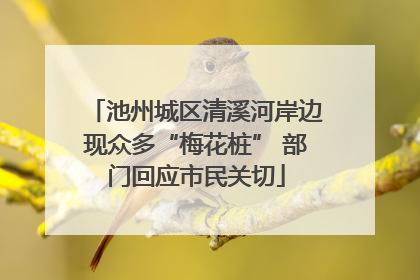 池州城区清溪河岸边现众多“梅花桩” 部门回应市民关切