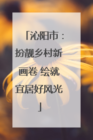 沁阳市：扮靓乡村新画卷 绘就宜居好风光