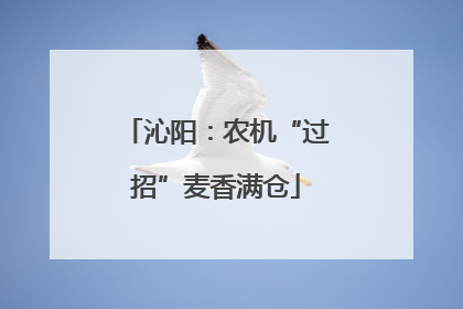 沁阳：农机“过招”麦香满仓