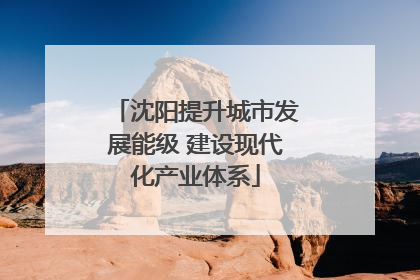 沈阳提升城市发展能级 建设现代化产业体系