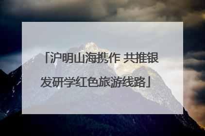沪明山海携作 共推银发研学红色旅游线路