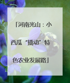 河南光山：小西瓜“撬动”特色农业发展路