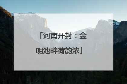 河南开封：金明池畔荷韵浓