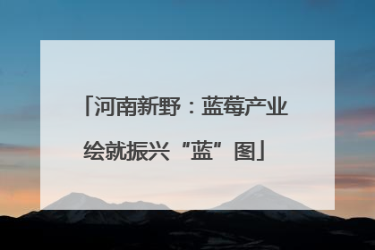河南新野：蓝莓产业绘就振兴“蓝”图