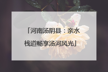 河南汤阴县：亲水栈道畅享汤河风光
